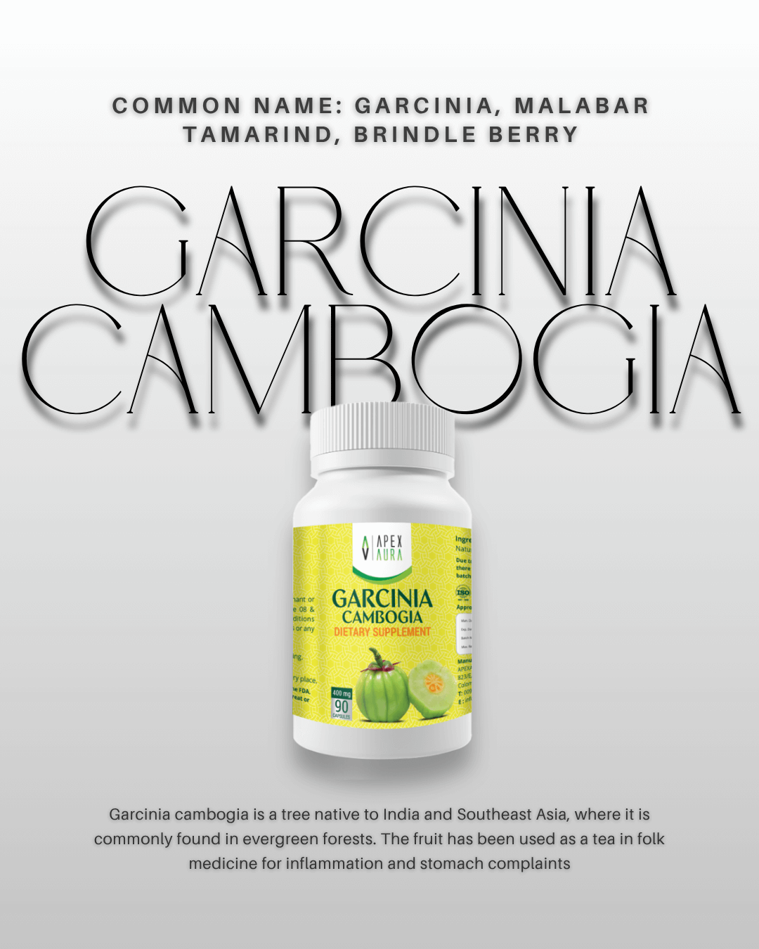 Garcinia Cambogia – Premium Ayurvedic Supplement Bottle.