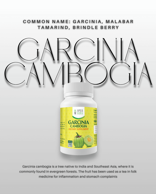 Garcinia Cambogia – Premium Ayurvedic Supplement Bottle.
